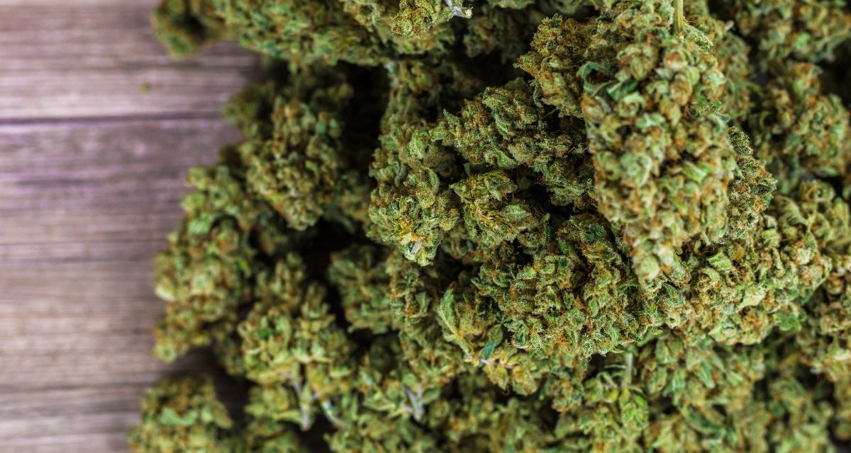 Qu&rsquo;est-ce que le CBD ? Définition