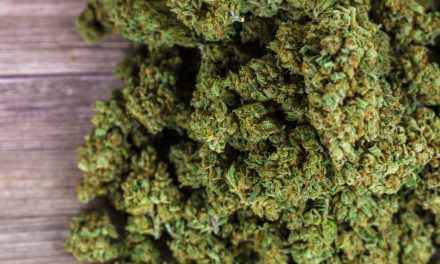 Qu&rsquo;est-ce que le CBD ? Définition