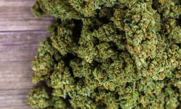 Qu&rsquo;est-ce que le CBD ? Définition