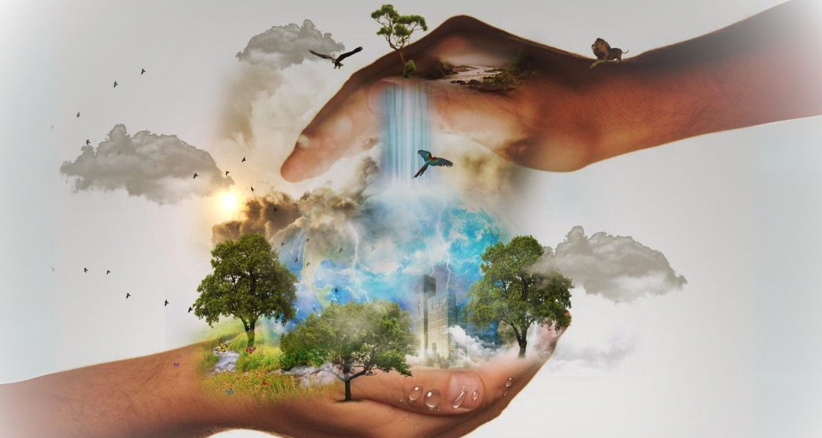 Avons-nous des devoirs envers la nature ?