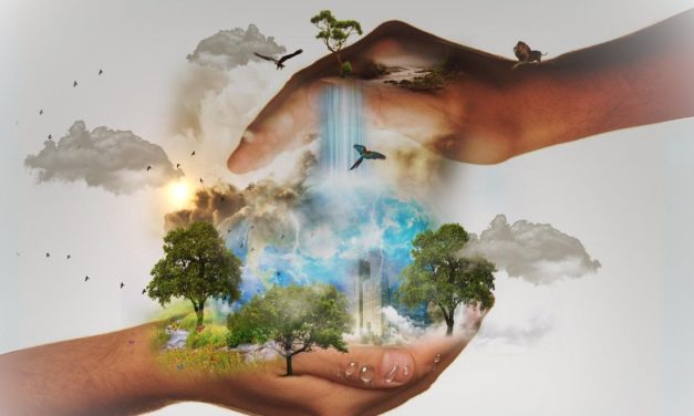 Avons-nous des devoirs envers la nature ?